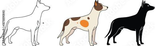 Vector illustration set of standing dog in side view featuring outline flat color and black silhouette styles for design