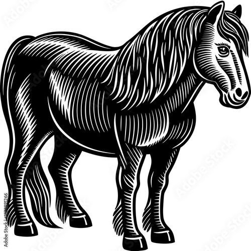 Black and white horse illustration