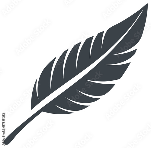 Stylized dark gray feather icon elegant design element for writing art or nature concepts