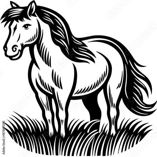 Black and white horse illustration