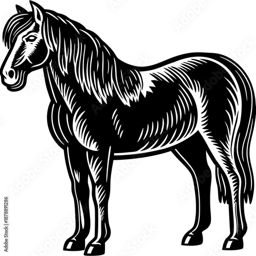 Black and white horse illustration