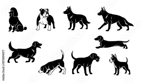 Vintage dog breed silhouettes vector set isolated