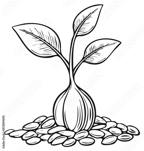 Young green sprout emerging from a bulbous base surrounded by seeds in a sketched illustration style