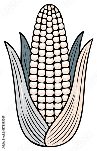Stylized white corn on the cob with husk leaves vector graphic illustration