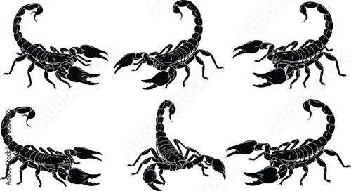 Set of detailed black scorpion silhouettes in various aggressive crawling and stinging poses perfect for desert wildlife themes danger signs and tattoo designs