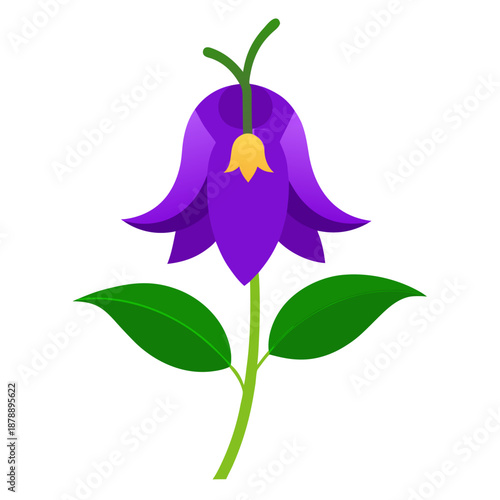 canterbury bell purple colorful on white background 