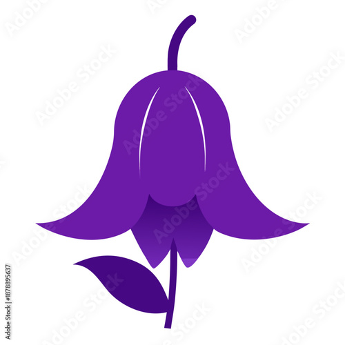 canterbury bell purple silhouette on white background 