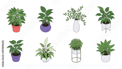 Collection of eight diverse indoor potted plants features various leaf shapes and colorful ceramic and metallic pots.