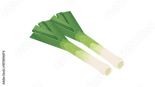 Two fresh green leeks with white roots placed side by side on a clean white background for culinary and cooking concepts.