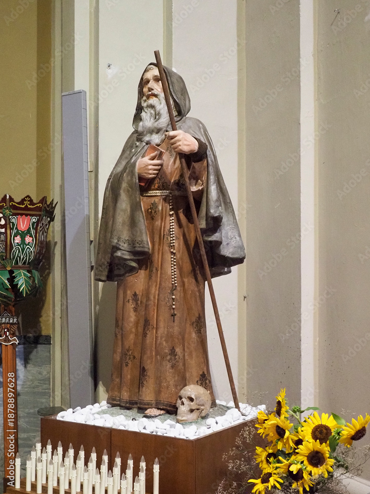 Obraz premium St. Conrad Confalonieri statue depicting the hermit saint holding a staff, contemplating a skull, and wearing Franciscan habit in St