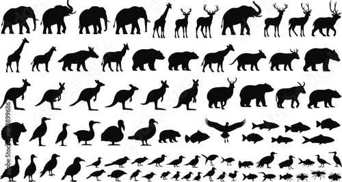 Wild animal silhouettes collection illustration, mammals birds fish insects icons set, wildlife diversity concept, black shapes vector isolated on white background