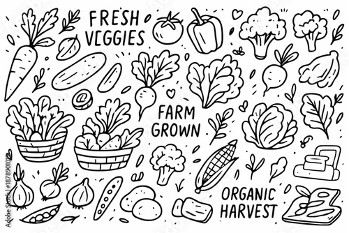 Hand-drawn doodle vector set of vegetables in a fun, sketchy ink-pen style, isolated on white background
