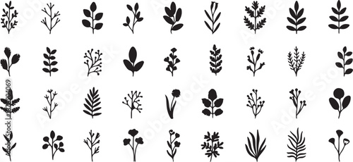 Set of black silhouettes of branches, twigs, and leaves, collection of minimalistic nature elements perfect for decoration