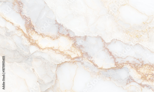 Premium white gold marble background wallpaper design. High resolution white gold marble texture realistic pattern