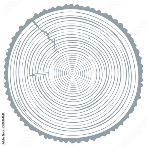 Circular Cut Wood Tree Rings Illustration Representing Growth and Age With Cracks and Wavy Bark