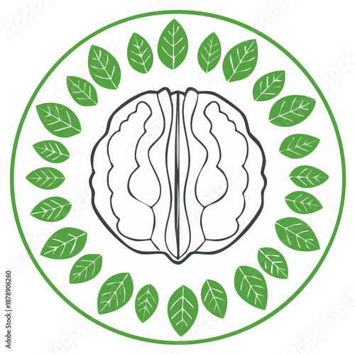 Brain shaped walnut with green leaves border emblem