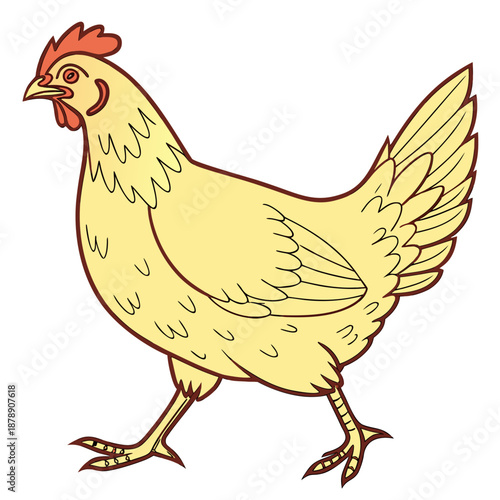 Illustrated hen