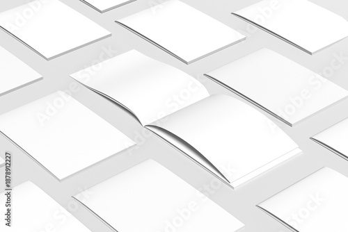 Принти на полотні Modern Book and Magazine Mockup Open with Blank Pages