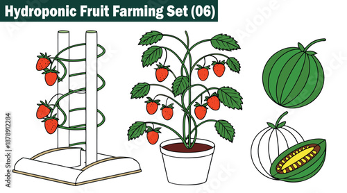 Hydroponic fruit farming set. Showing spiral vine support Vector Illustration.
