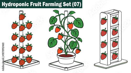 Hydroponic fruit farming set vector illustrations.