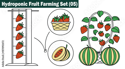 Hydroponic fruit farming set with outline drawing style Vector Illustration.