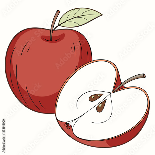 Sliced apple illustration