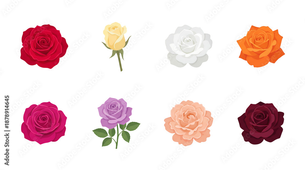 Fototapeta premium Colorful rose flower set including red, yellow, white, orange, pink, purple, peach, and burgundy blooms and buds isolated. Floral collection.