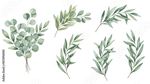 Watercolor floral illustration set   green leaf branches bouquets collection, for wedding stationary, greetings, wallpapers, fashion, background. Eucalyptus, olive, green leaves, etc. High quality