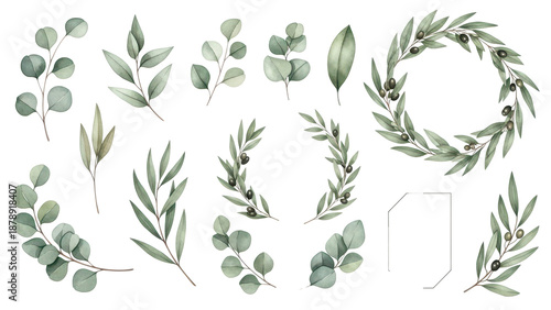 Watercolor floral illustration set   green leaf branches collection, for wedding stationary, greetings, wallpapers, fashion, background. Eucalyptus, olive, green leaves, etc.