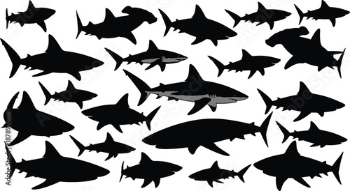 Shark silhouette vector collection, diverse marine predator icons, hammerhead and great white shark silhouettes, ocean wildlife graphic elements, ,