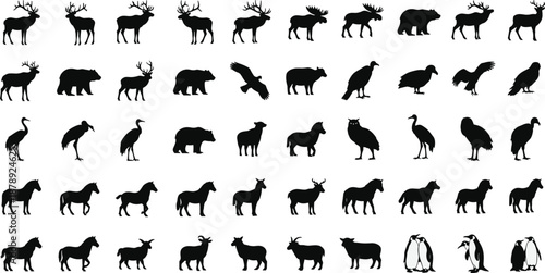 Black wildlife animal silhouette vector set with deer, bears, horses, penguins, owls, and various birds for nature education and zoo design.
