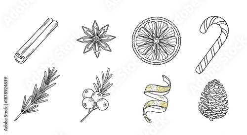 Holiday decorations collection Vector