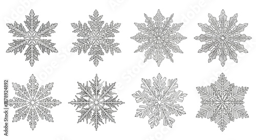 Intricate snowflake patterns Vector