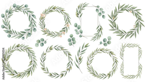 Watercolor floral illustration set   green leaf Frame collection, for wedding stationary, greetings, wallpapers, fashion, background. Eucalyptus, olive, green leaves, etc. High quality illustration