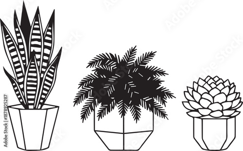 Hand Drawn Minimalist Potted Plants Collection, Snake Plant, Fern, and Succulent Line Art Vector