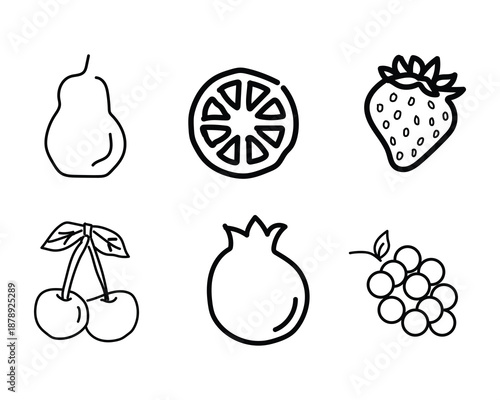 A collection of six common fruit illustrations