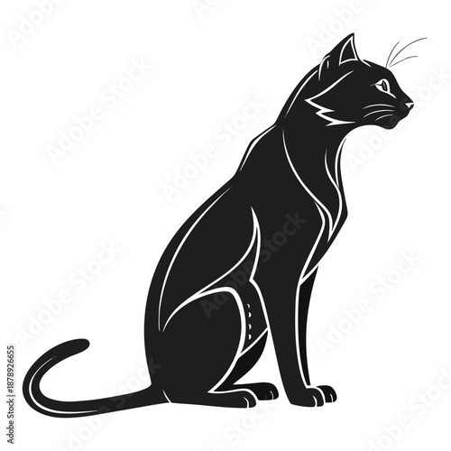 Black cat silhouette