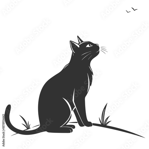 Black cat silhouette