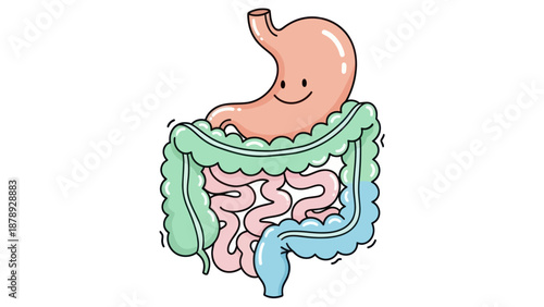 Happy cartoon digestive system with stomach and intestines smiling