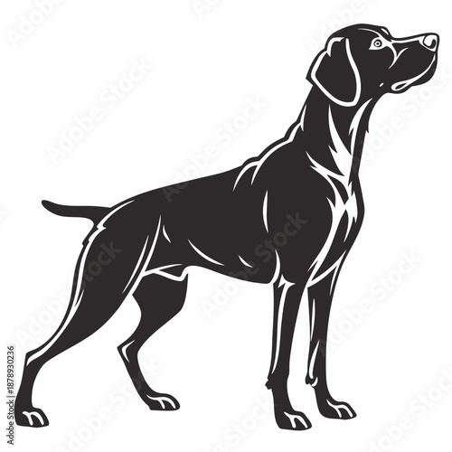 Black and white dog silhouette