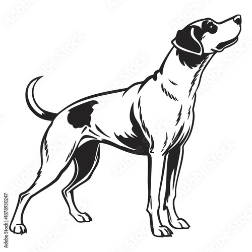 Black and white dog silhouette