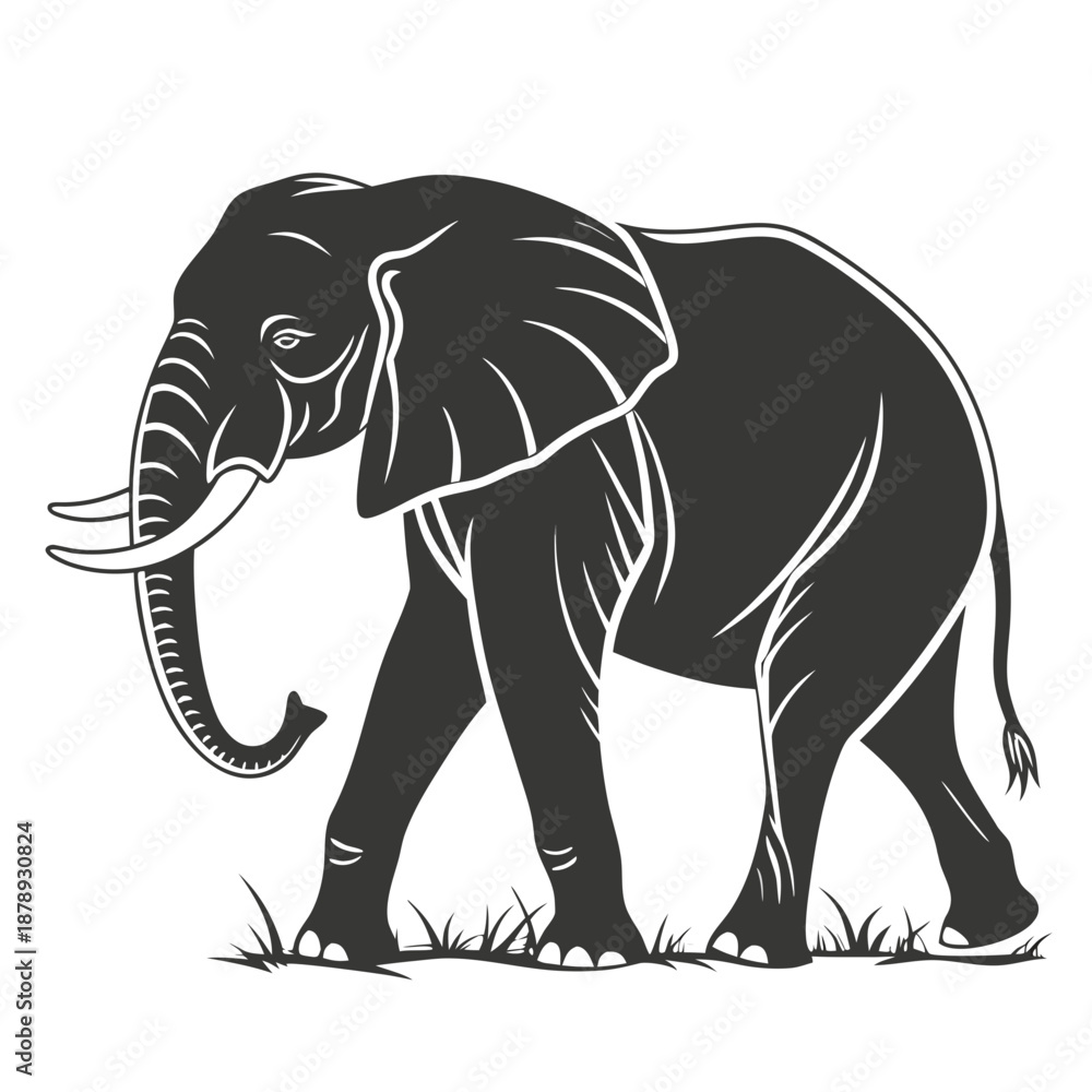 Fototapeta premium Silhouette of an elephant