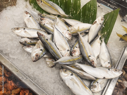 Obraz na plátně Top-down view of a pile of yellowtail scad on a pile of ice and decorated with pandan leaves