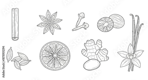 Assorted spices and ingredients Vector