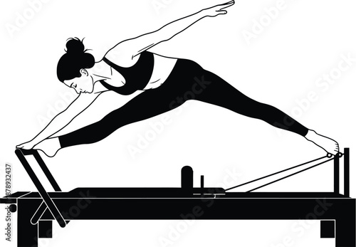 Adobe vector  Illustrator Artwork