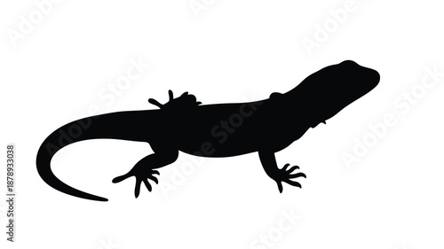 A striking black silhouette of a bearded dragon in profile