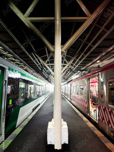Wallpaper Mural Symmetrical Train Station Platform with Parallel Trains Torontodigital.ca