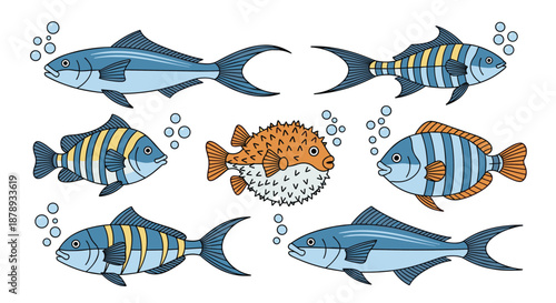 Collection of various fish species including striped fish and a pufferfish swimming in water.