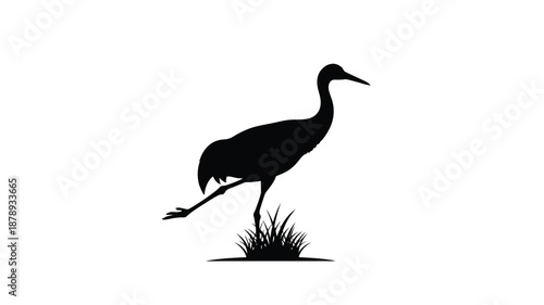 Elegant crane standing in grassy field a striking black silhouette