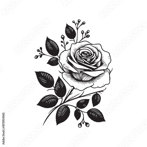 Vintage etched rose flower with leaves and berries black and white isolated on white